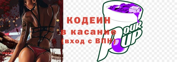 индика Богданович